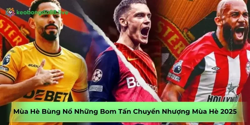 bom-tan-chuyen-nhuong-mua-he-2025