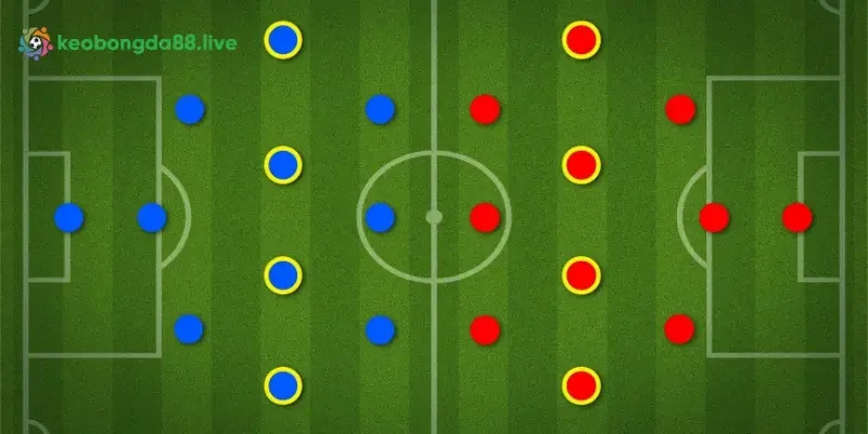 Vai trò và vị trí của cầu thủ bóng đá