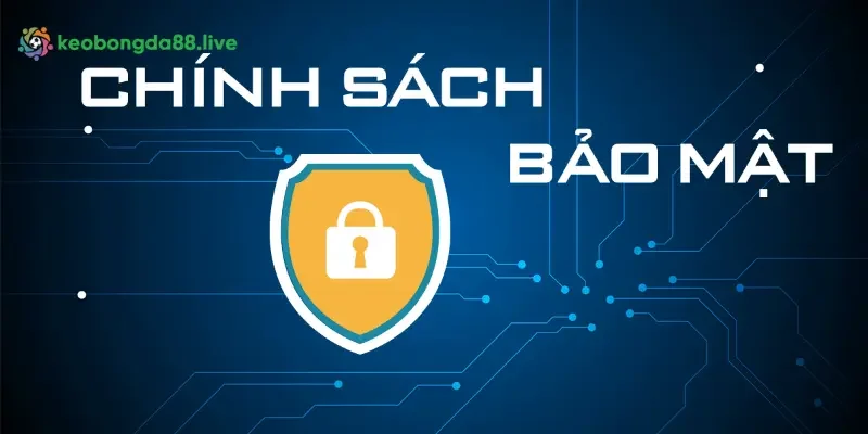 An toàn giao dịch khi thiết lập chính sách bảo mật