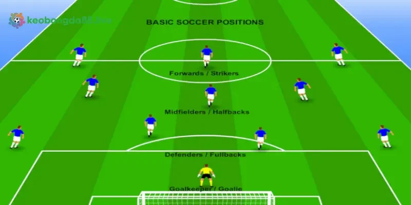 Tiền vệ (màu vàng) chơi ở vị trí ở giữa sân, ở giữa hàng hậu vệ và hàng tiền đạo của đội