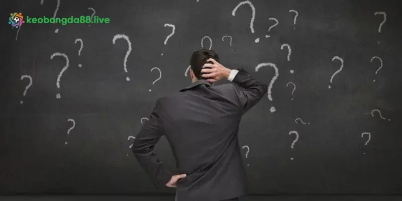 Giới thiệu sơ lược về nền tảng Kèo bóng đá