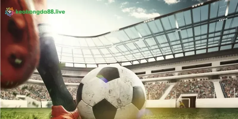 Đội ngũ chuyên gia có kinh nghiệm