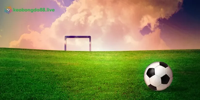 Tạo sự khác biệt trong cộng đồng cá cược bóng đá