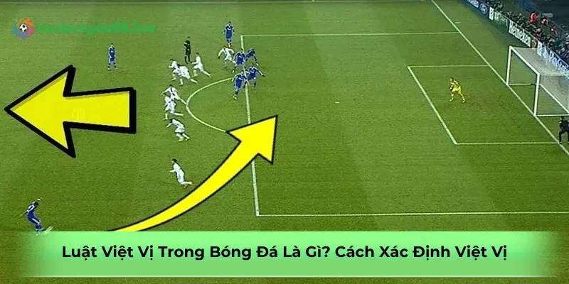 luat-viet-vi-trong-bong-da-la-gi