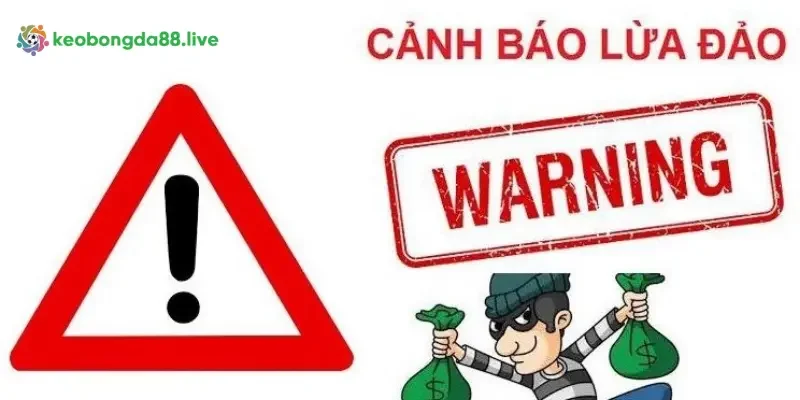 Thông tin One88 uy tín hay lừa đảo nên được kiểm chứng