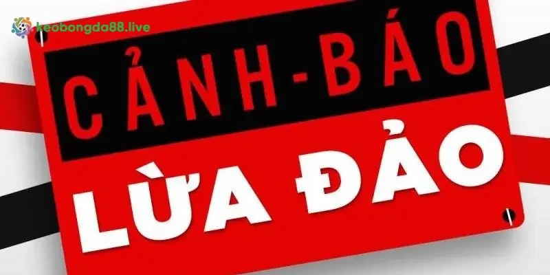 Lý do xuất hiện tin Rikvip uy tín hay lừa đảo