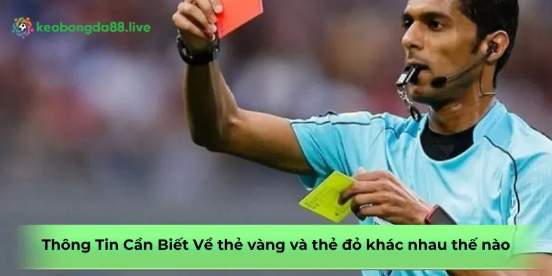 the-vang-va-the-do-khac-nhau-the-nao