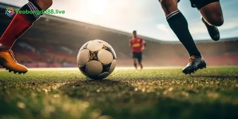 Các hạng mục tin tức kèo nhà cái 88