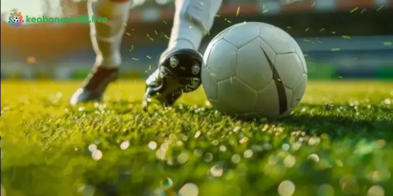 Đôi nét về thể thao kèo nhà cái