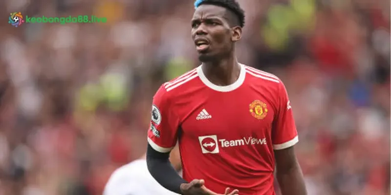 Paul Pogba là bản hợp đồng thất bại của MU