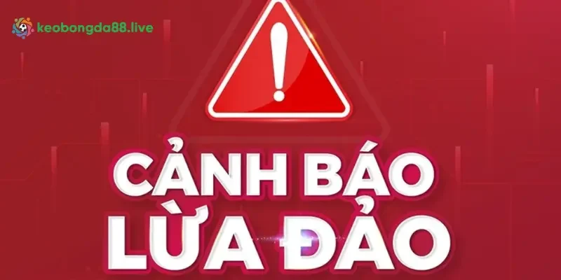 Nguyên nhân tạo tin đồn Vsbet uy tín hay lừa đảo