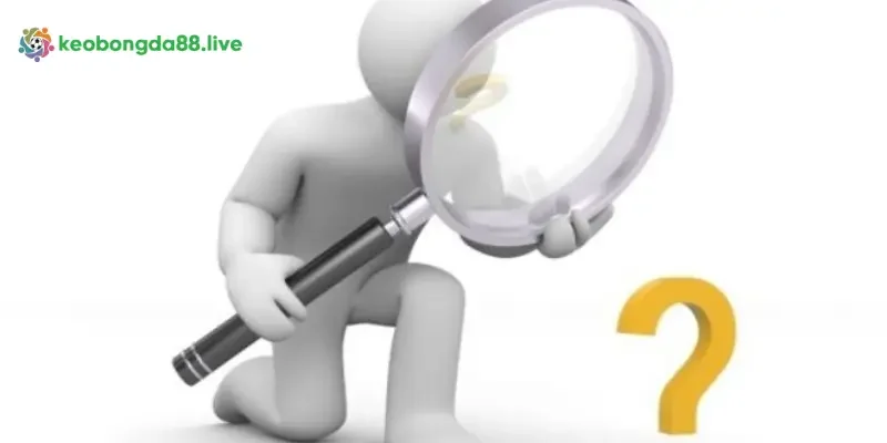 Đánh giá độ uy tín của nền tảng cá cược W88