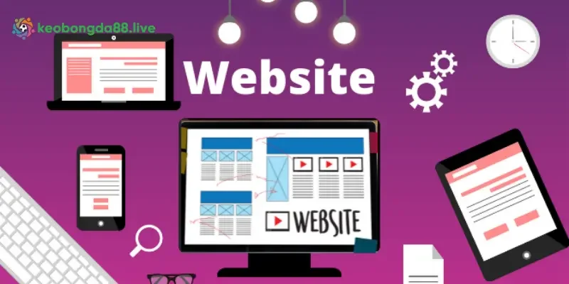 Website cá cược giả mạo Wi88 uy tín hay lừa đảo